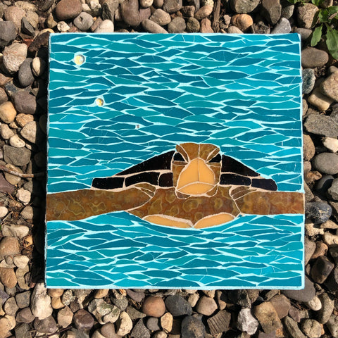 Turtle Mosaic —The C Glass Studio